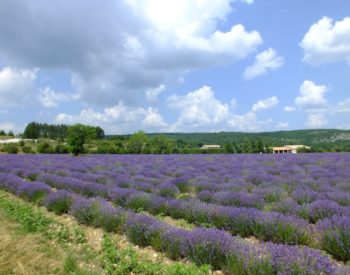 provence 180485_1920